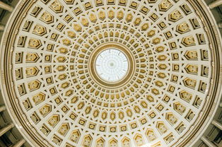 The Brave Can Be Resurrected N Times: The Limitless Courage of a Warrior