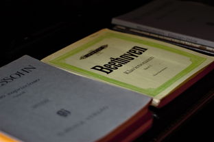 深度解析'王者之师'的含义及其在职场中的具体指代 -- 如何成为能带领团队向成功迈进的王者之师