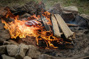 王中王王中王免费资料一|实地研究解释落实_先锋版IPHONE.9.838 王中王王中王免费资料一|实地研究解释落实_先锋版IPHONE.9.838