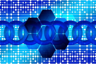 49tk官网正版下载|权威数据解释落实_社交品.2.633