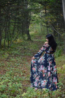 (原野漫步)漫步原始森林2：探索未被人类触碰的自然奇迹与生态之美