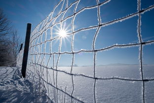 今天晚上澳门开什么|专业解答解释落实_冰爽型.5.332