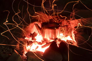 (不朽之旅是什么游戏)不朽之旅官方网站：发现永恒之美，畅游无尽传奇之路