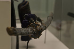 (代号邪神攻略)探索未知世界，挑战代号邪神手游的神秘谜题与战斗挑战