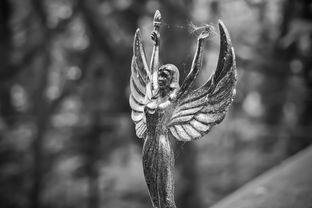 在这逍遥的世界，一日成仙为何折相思，寻找答案如何入手？