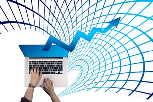 澳彩高手榜|探索新兴趋势与生活智慧_增强版.5.855