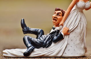 (雄兵连 青卿)雄兵连青卿结婚哪一集，粉丝们热议剧情转折和新生活展望