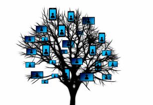 (2022年手游游戏)2024年最新手游排行榜出炉！这十款网络游戏脱颖而出