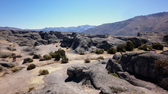 (探险攻略)探险之旅：踏足丛林穿越冒险公园