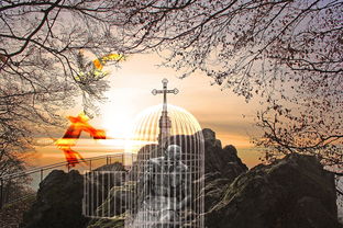 荀鹿游戏app旷野之狩：精彩内容揭秘，探讨游戏中的生存策略和角色扮演要点