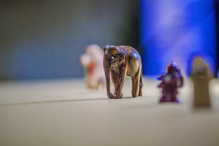 (迷你英雄1942)迷你英雄2最新官方版发布!全新关卡和角色等你来探索! (迷你英雄1942)迷你英雄2最新官方版发布!全新关卡和角色等你来探索!