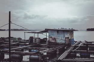 深渱守望者 闲渔翻身：揭秘暗黑深海中的守望者，如何在宏大的深海生态中角逐生存并彻底翻身