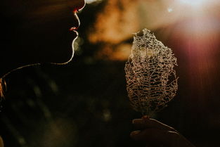 (浮生记忆什么意思)浮生忆玲珑:穿越时空的回忆,揭开神秘的面纱 (浮生记忆什么意思)浮生忆玲珑:穿越时空的回忆,揭开神秘的面纱