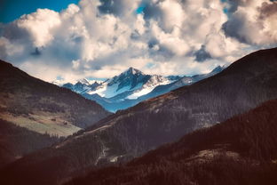在辽阔无垠的大自然中展现自身智慧与勇气——探索荒野生存类手游 在辽阔无垠的大自然中展现自身智慧与勇气——探索荒野生存类手游