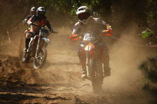 (盗墓类游戏手机单机游戏)一场跨越千年的历险-盗墓游戏单机手机版全新更新解析