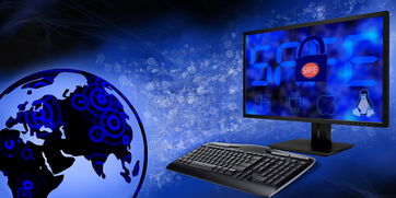 2024新奥正版精准资料|实地数据解释落实_Windows.3.907