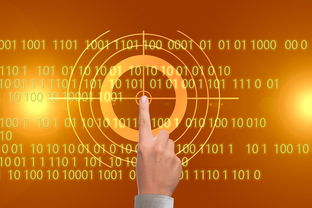 2023年澳门今晚开奖号码是什么|把握核心问题的解答与落实_游戏版Timi.1.65