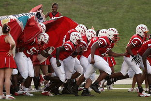 (梦幻足球世界下架了吗)梦幻足球世界下架：玩家情感沸腾，官方解释引发热议