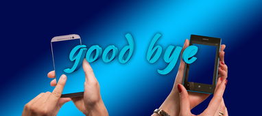 (安卓版单机绅士游戏有哪些)绅士安卓手机单机推荐：独具风采的游戏力荐给你