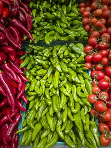 (保卫果园健康教案)保卫果园大班教案：激发幼儿园儿童的爱心与责任感