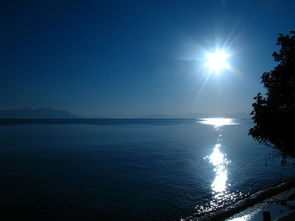 群星之子最后和谁在一起了？他们的爱情终于蔓延至星辰大海之间吗？