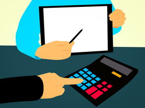 2024新奥历史开奖记录公布|提高资料处理效率的策略_创新版8.118