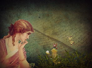 (国王和小王子的故事)三年级写作抒情童话：国王与草原上的小王子（300字）