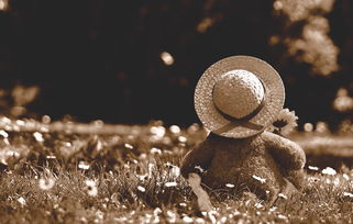 (真武江湖好玩吗)真武江湖阵法选择攻略:如何在江湖中选择最适合自己的阵法? (真武江湖好玩吗)真武江湖阵法选择攻略:如何在江湖中选择最适合自己的阵法?