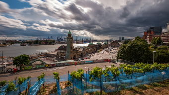 (这城有点田下载)这城有良田官方网站：探寻这座城市的农田资源和生态环境