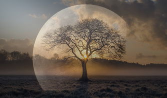 「重生之明月传说最新版：勇往直前，逆袭改命，全新篇章等你揭开」