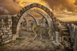 (重返二战天空:体验最激烈的空战游戏是什么)重返二战天空：体验最激烈的空战游戏