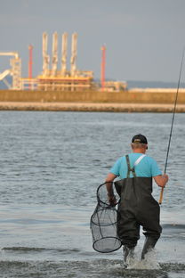 为什么钓鱼大咖App突然下架了？究竟发生了什么事情导致它被关闭？