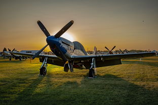 合成恐龙赚红包最新版本：打造个性化恐龙角斗场，瓜分丰厚红包奖励