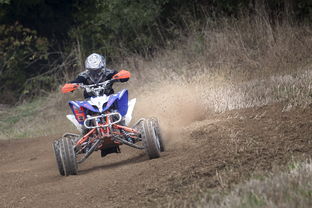 (单机赛车游戏排行榜前十名)最佳单机赛车游戏推荐：精彩体验速度与激情的极限驾驶乐趣