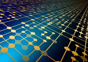 定制化的CRM管理系统软件开发服务，助力企业实现高效客户关系管理