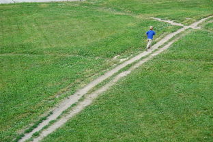 (好玩的单机农场经营游戏)畅享多款趣味单机农场经营游戏，体验经典玩法乐趣