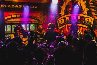 探寻九畿岐风之旅公测最新消息，畅游风情万种的旅途