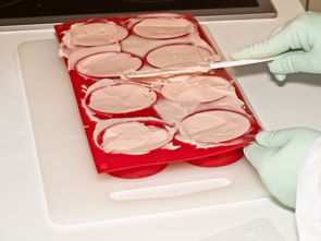 (电脑桌面图标消失了怎么能够还原)电脑桌面图标全部消失？如何恢复失踪的电脑桌面图标？