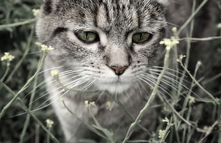 盟重英雄10m更新后叫什么?更新后的盟重英雄有哪些新变化和玩法? 盟重英雄10m更新后叫什么?更新后的盟重英雄有哪些新变化和玩法?