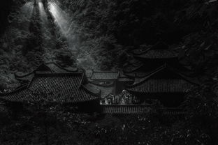 (口袋征服手游怀旧版)重温经典与激情:探索口袋征服怀旧版双龙城的无尽冒险与乐趣 (口袋征服手游怀旧版)重温经典与激情:探索口袋征服怀旧版双龙城的无尽冒险与乐趣