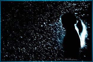 卡牌萌兽2无限金币钻石版：全新版本升级，畅享无限金币钻石乐趣！