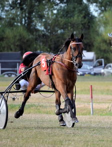 (骑马与砍杀萌新攻略)骑马与砍杀游戏攻略：新手入门指南和实用技巧详解