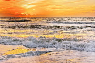 (山河之河)山河之志0.1折:倾情向往,追逐心中的远方,坚守初心的信仰 (山河之河)山河之志0.1折:倾情向往,追逐心中的远方,坚守初心的信仰