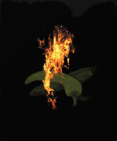 斗破苍穹手游角色选择攻略：如何挑选最适合自己的角色？技巧和建议一网打尽