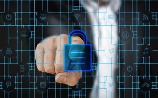 探讨老农种树游戏数据丢失原因，详细解析怎样有效恢复和保护游戏进度