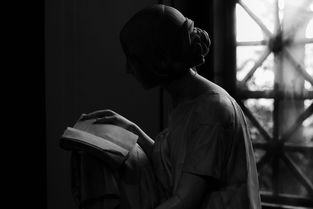 (玻晓电视剧)揭秘神秘组织的代号玻晓：隐藏在黑暗中的力量