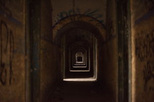 (侠盗飞车罪恶都市中文网)侠盗飞车罪恶都市中文版官方：探索不羁的城市风云！