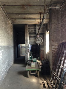 (王城战争手机版下载)王城战争下载安装最新版本免费，快来体验最精彩的战争游戏！