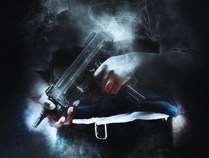 魔导骑士·防御者：在古老魔法与现代武器交织的战场上，守护王国的英雄传奇