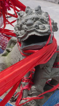 (屠龙者百度百科)屠龙尊者：传说中的神秘英雄，挑战邪龙、守护人类的救世之人